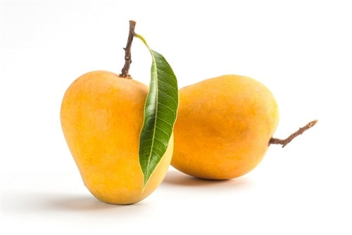 Ratnagiri Alphonso (Hapus-'King of Mangoes') 1 Box - Advance Booking Open Now