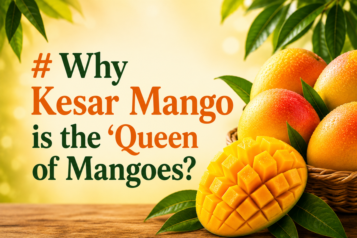 🥭Why Kesar Mango is the ‘Queen of Mangoes?’