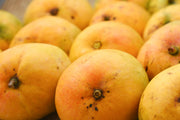 MangoPetee® Indian Alphonso Mango Pulp (Ratnagiri) - Sweetened (3.1 Kg)
