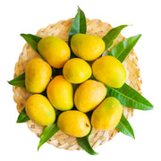 Mangopetee Mango Pulp Gift Basket Option 2 (2 Tins)